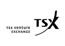 TSX